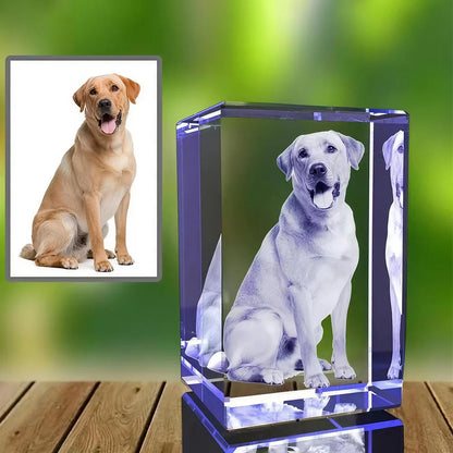 3D/2D Laser Engraved Customized Crystal Photo